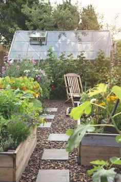 a wooden chair sitting in the middle of a garden filled with lots of plants and flowers