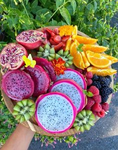 a person holding a plate full of different fruits