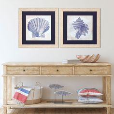 two framed seashells are on the wall above a wooden table