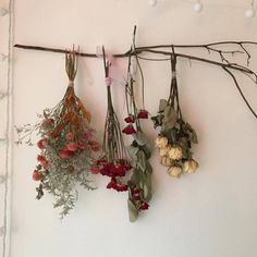 dried flowers hang on a white wall