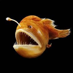 a fish with its mouth open and it's teeth wide open in the air