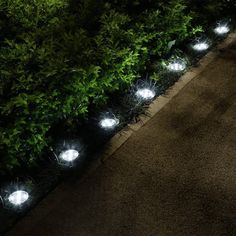 some lights that are sitting in the grass near trees and bushes on a path at night