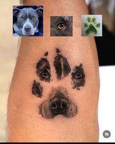 a dog's paw is shown with four different pictures on it, including an image of a dog's face and paws