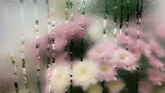 pink and white flowers are seen through the frosted glass window pane on a rainy day