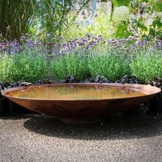 a wooden bowl sitting in the middle of a garden filled with purple and green plants