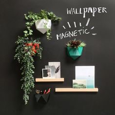 a blackboard with some plants and pictures on it that says wallpaper magnetic in white writing