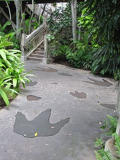 an outdoor walkway with steps leading up to the top and green plants on either side