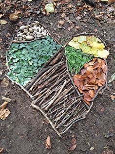 a basket filled with lots of different types of leaves on top of dirt and grass