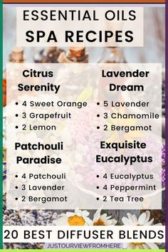 The best diffuser blend recipes to give your home that amazing \ Spa Essential Oils, Best Diffuser, Relaxing Essential Oils, Essential Oil Combinations, S Craft, Doterra Essential Oils Recipes, Essential Oil Diffuser Blends Recipes, Fresh Eucalyptus, Essential Oils Guide