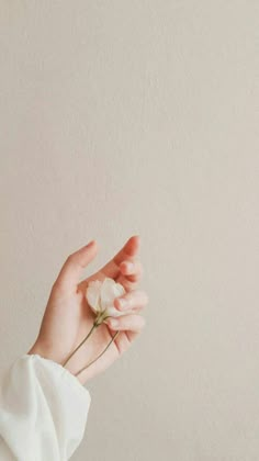 a person holding a flower in their hand