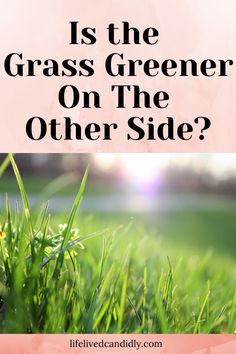 grass with the words is the grass greener on the other side?