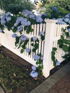 a white picket fence with blue flowers growing on the top and bottom, along side it