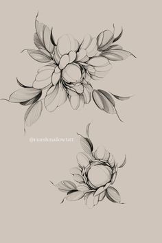 some flowers that are drawn in pencil on a gray background with the words,'flower drawings