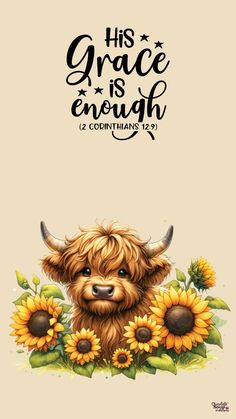 Highland Cow Phone Wallpaper, Cow Print Wallpaper Iphone, Hyland Cows, Cow Pics