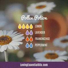 Diffuser Blends For Allergies, Allergy Diffuser Blend, Allergy Relief Essential Oils, Essential Oils Allergies, Oil Therapy