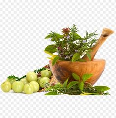 a mortar bowl filled with green apples and herbs on a white background, hd png