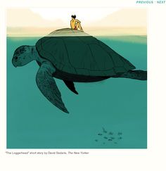 a man sitting on top of a turtle in the ocean