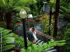 a bride and groom are kissing on the stairs in front of fern trees at their wedding