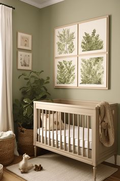 a baby's room with green walls and pictures hanging on the wall above the crib