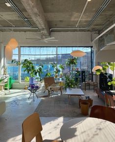 an office with lots of plants in the windows and chairs on the floor next to each other