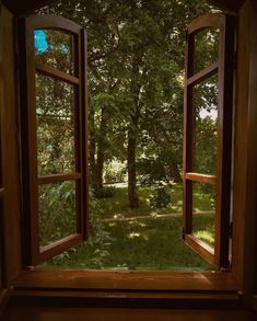 an open window looking out onto a lush green forest