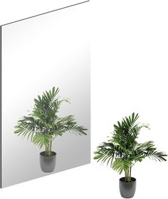 a mirror and potted plant are shown in front of a white wall mounted mirror