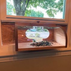 a window that has some birds in it and is looking out at the tree outside