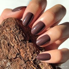 Bark Brown September Nails, Fall Nail Art Designs, Fall Nail Art, Fall Nail Colors, Fall Nail