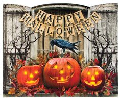 three carved pumpkins sitting in front of a window with a crow on it's head