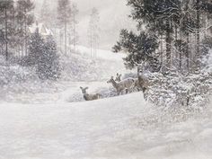 a painting of some deer in the snow