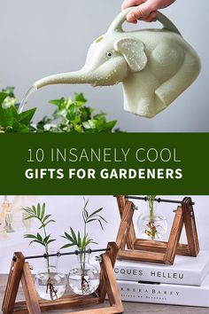 an elephant planter with plants in it and text overlay that reads 10 insanely cool gifts for gardeners