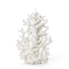 a white coral candle holder on a white background