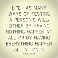 a quote that says life has many ways of testing a person's will either by having nothing happen at all or by having everything