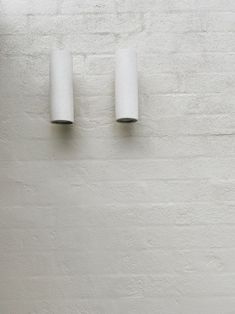 two white toilet paper rolls are on the wall