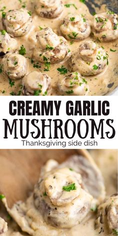 creamy garlic mushrooms with parsley on top