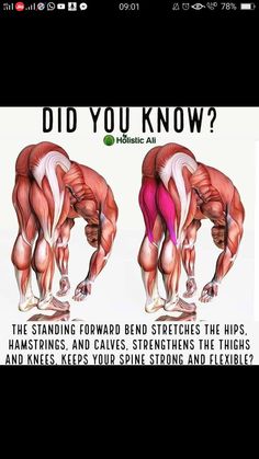 an image of the muscles and their functions in this exercise book, which includes exercises to help