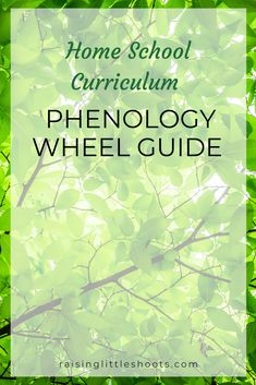 green leaves with the title home school curriculum phenology wheel guide