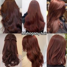 Gold Mahogany Brown Hair, Best Hair Colors For Tan Skin, Hair Colors For Warm Undertones, Brown With Red Undertones, Natural Hair Color Ideas, Mahogany Hair Color, Shin Hari, Hair Color Mahogany