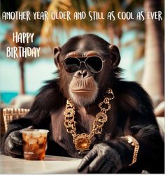 Male Birthday Quotes, Happy Birthday Male, Funny Happy Birthday Meme, Happy Birthday For Him, Happy Birthday My Friend, Happy Birthday Man, Funny Happy Birthday Wishes, Happy Day Quotes, Birthday Greetings Funny