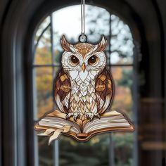 an owl ornament hanging from a window with a book in front of it