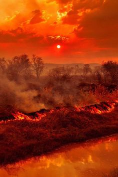 the sun is setting over an area with water, grass and trees on it's edge