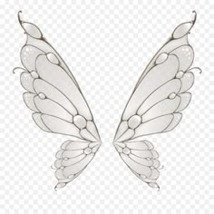 two white wings with water drops on the wings, transparent background png clipart