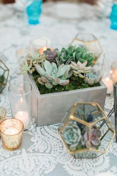 an arrangement of succulents and candles sits on a table with white lace