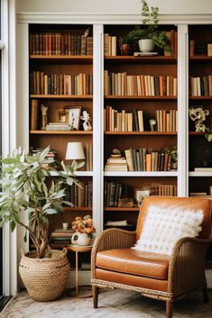 a living room filled with lots of bookshelves next to a potted plant