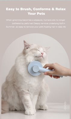 a white cat sitting on top of a table next to a person's hand