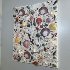 Repurposed Projects, Acorn Crafts, Cement Art, Paper Collage Art, Shell Crafts Diy, College Room, She Sells Seashells, Diy Things, Family Project