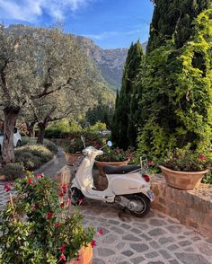 a scooter parked on the side of a road next to flowers and trees