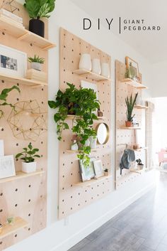 some plants are hanging on the wall in front of shelves with pictures and other items