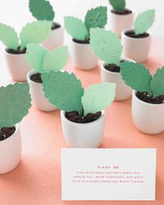 small potted plants sitting on top of a table with a business card in front of them