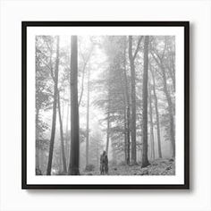 black and white photograph of two people standing in the middle of a foggy forest